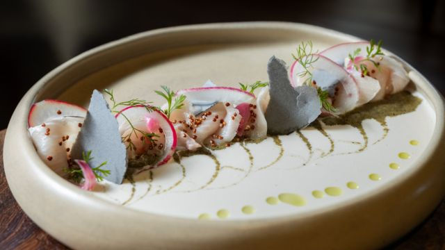 Hamachi jalapeño en Tora Cancún