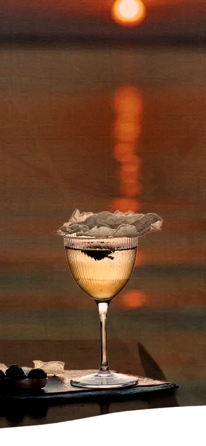 coctel de Tora Cancún