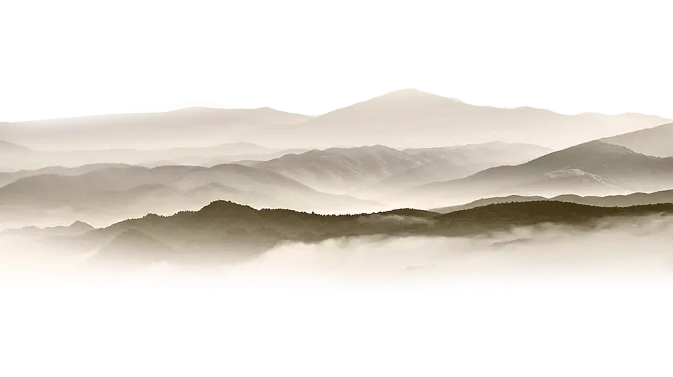 asset2_tora.webp