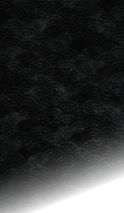 fondo