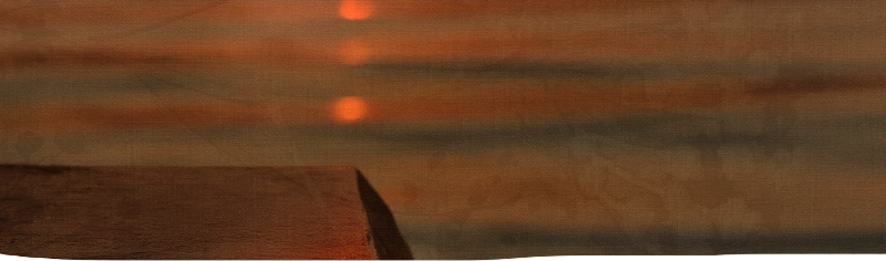 banner8_tulum.webp