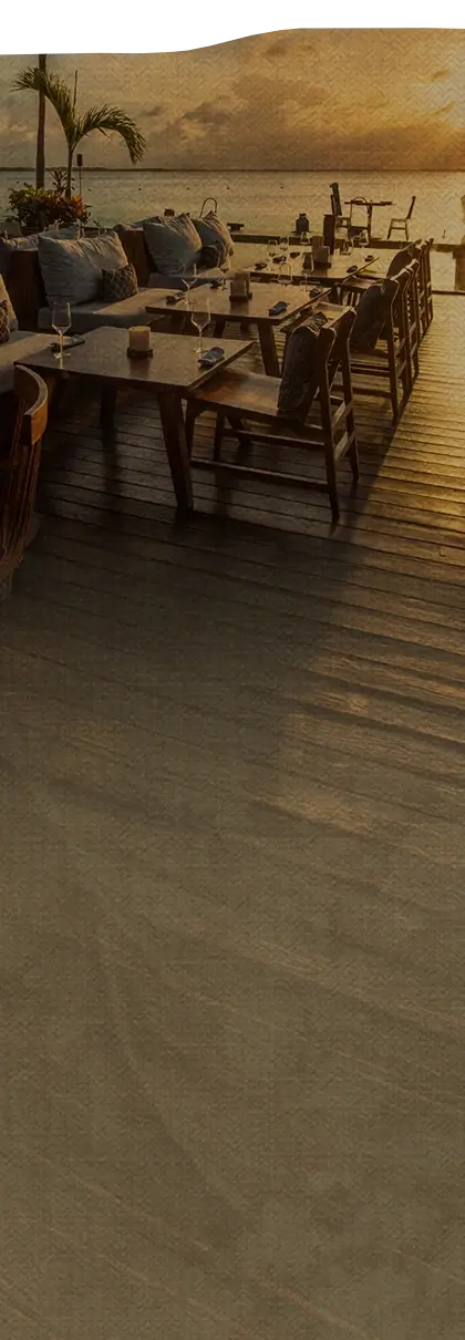 back1.1_home_tora_mobile (1).webp